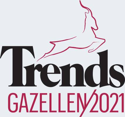 Klusjesman voert kleine herstellingen uit